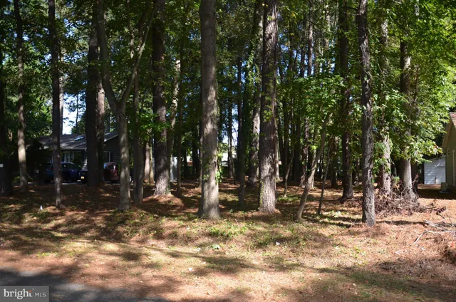 a view of outdoor space with trees