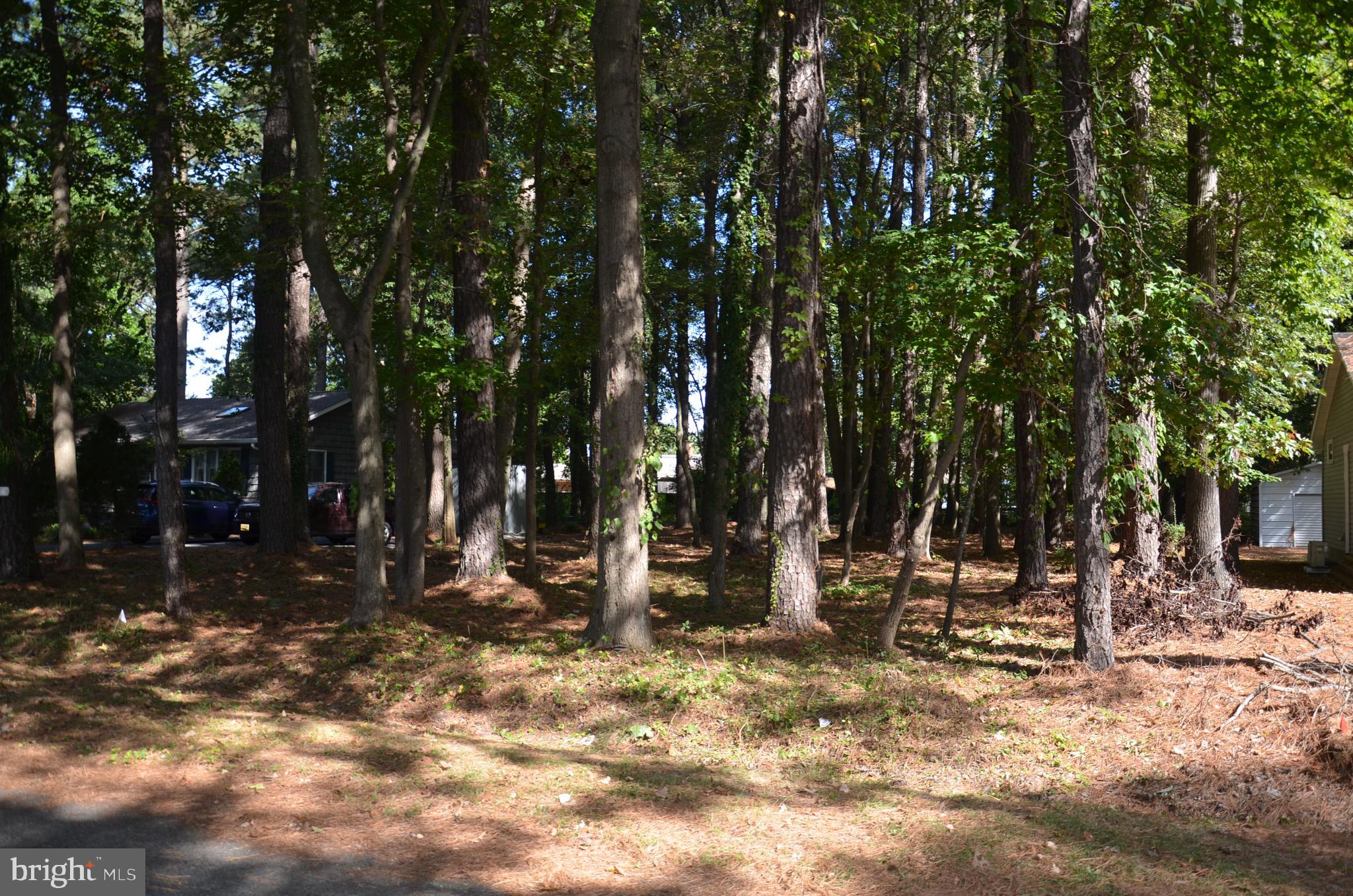 912 Calvert Avenue St. Michaels, MD 21663 - Photo 10 of 11 a view of outdoor space with trees