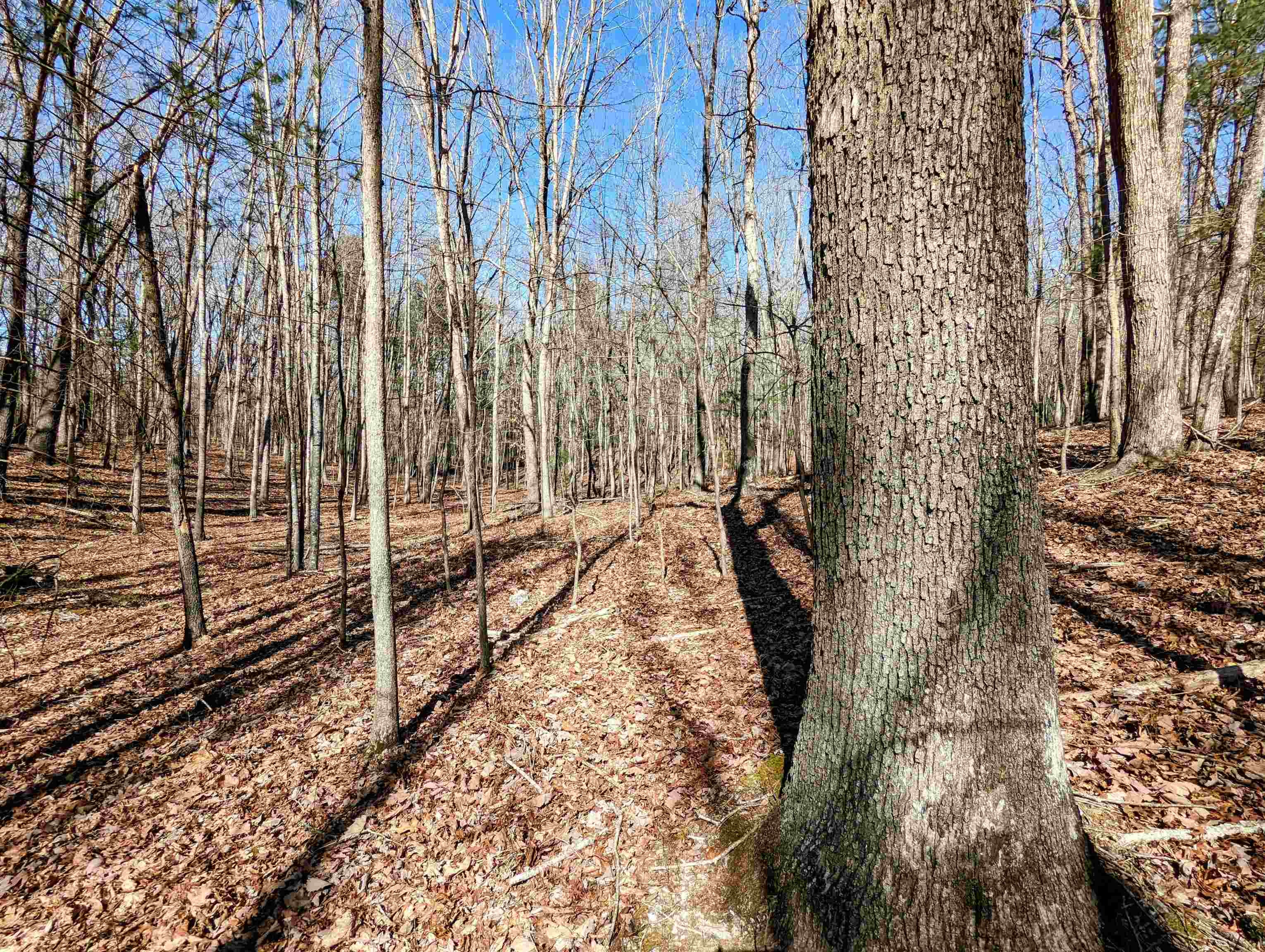 Tbd Pres Jackson Road Max Meadows, VA 24360 - Photo 10 of 12 Gallery Image 10