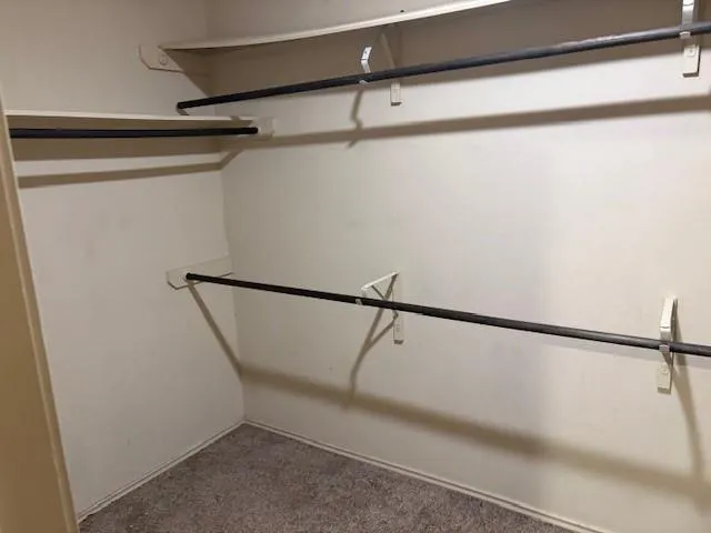 a white toilet sitting next to a shower