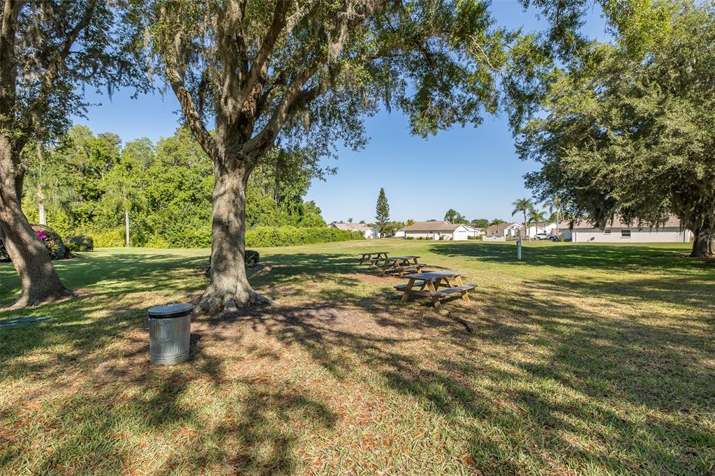 7900 Hardwick Drive, Unit 827 New Port Richey, FL 34653 - Photo 27 of 27 a view of a field with large trees