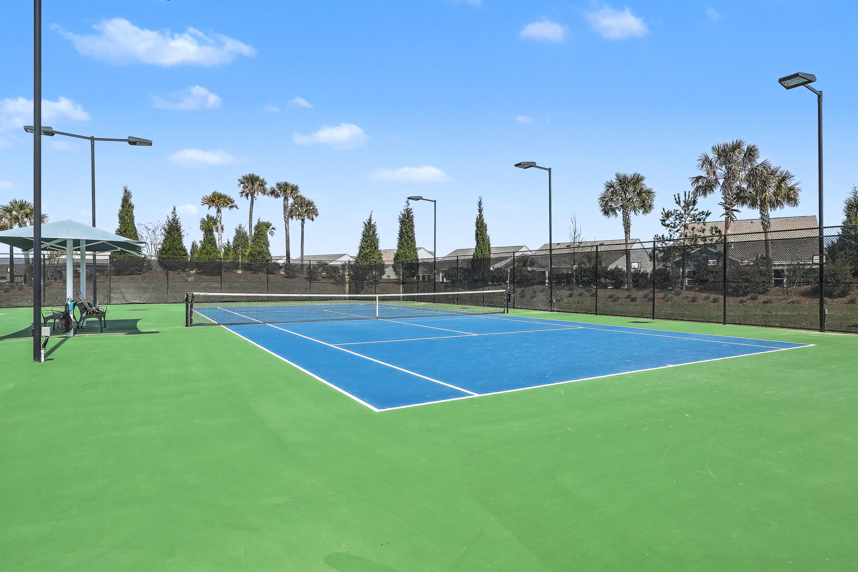 316 Autumn Azalea Way Summerville, SC 29486 - Photo 39 of 39 43_0W7A5333_4_5_6_7_8_9