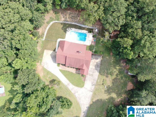 850 Deer Trace Road Pell City, AL 35125 - Photo 4 of 46