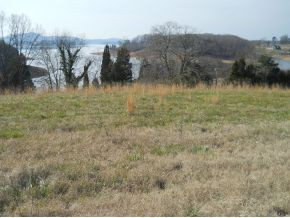 Lot 35 Shiloh Springs Road, Unit 35 Rutledge, TN 37861 - Photo 2 of 8 Photo 2