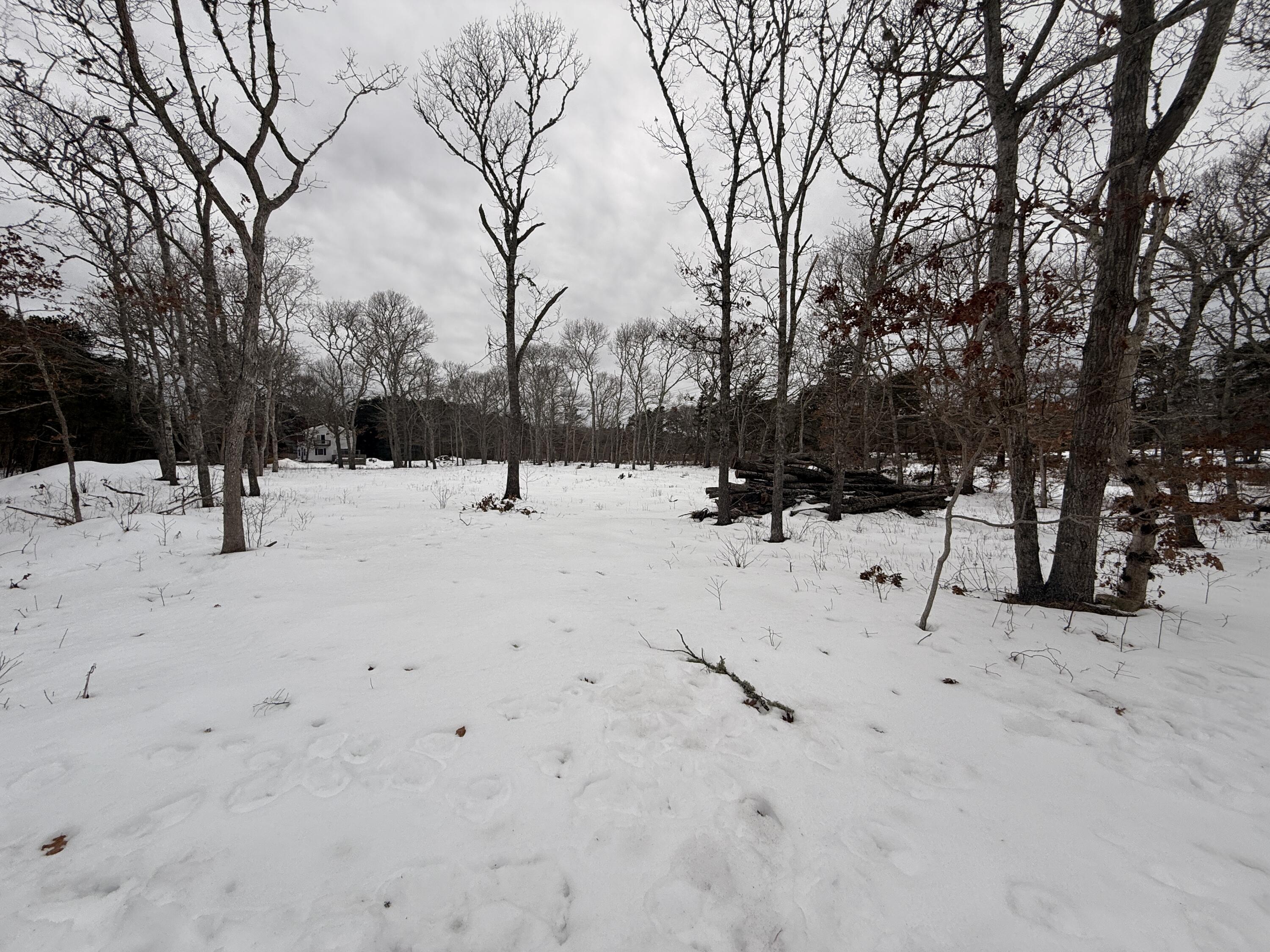0 Old Chatham Road Brewster, MA 02631 - Photo 5 of 6 a view of snow on the road