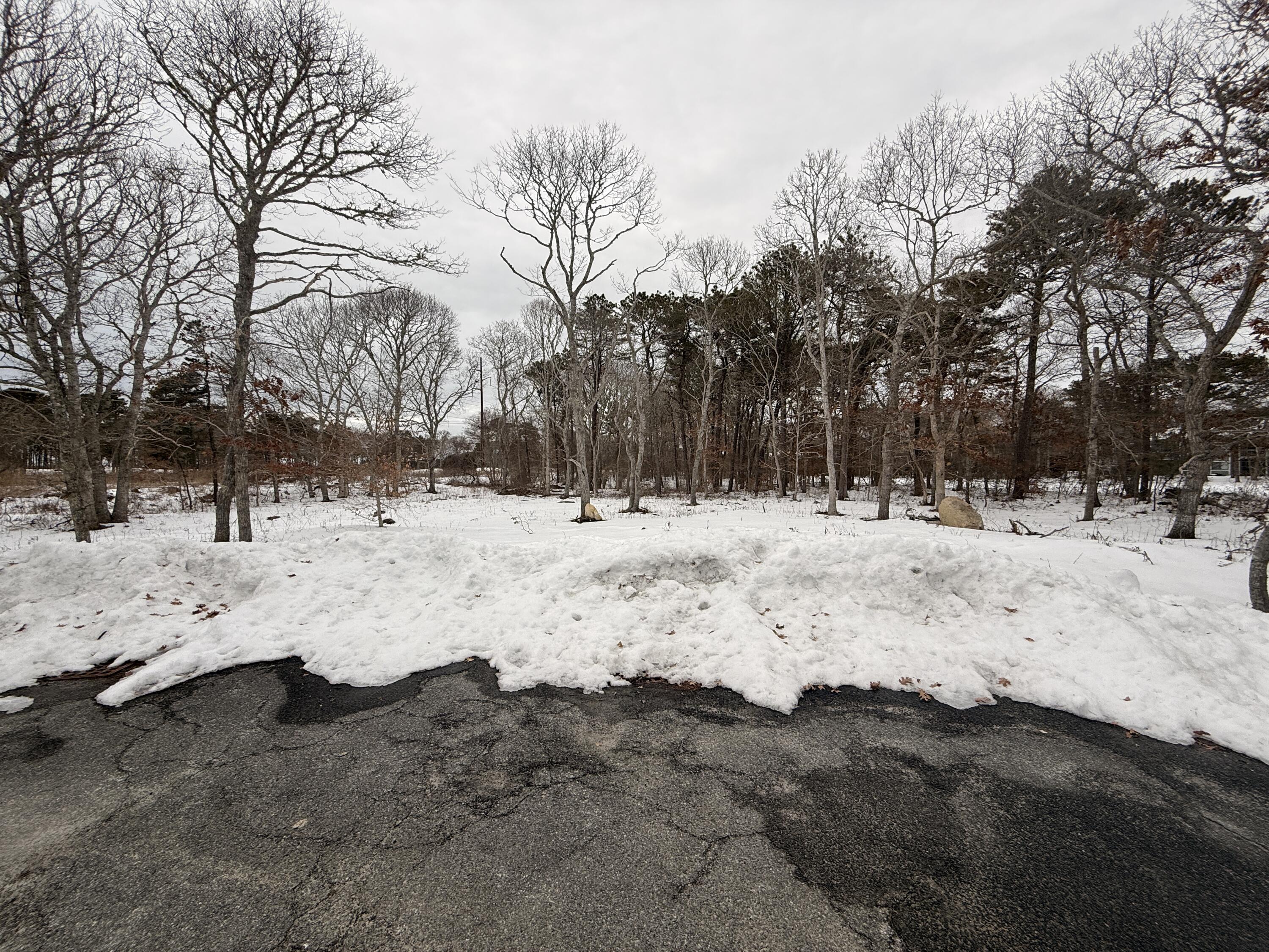 0 Old Chatham Road Brewster, MA 02631 - Photo 6 of 6 a view of covered with snow