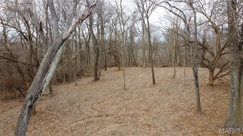 Xxx Lower Marine Road St. Jacob, IL 62281 - Photo 15 of 21