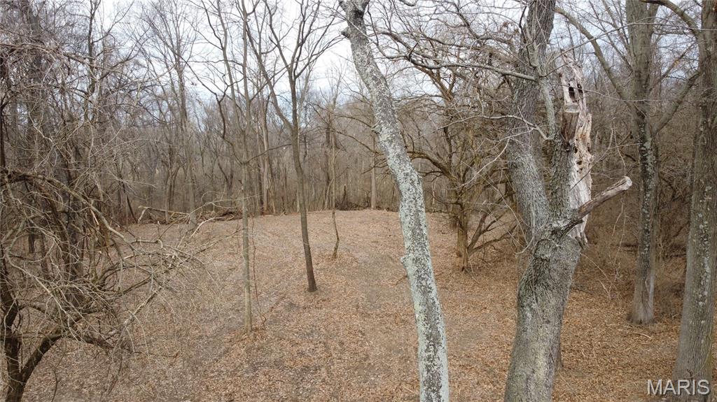 Xxx Lower Marine Road St. Jacob, IL 62281 - Photo 16 of 21