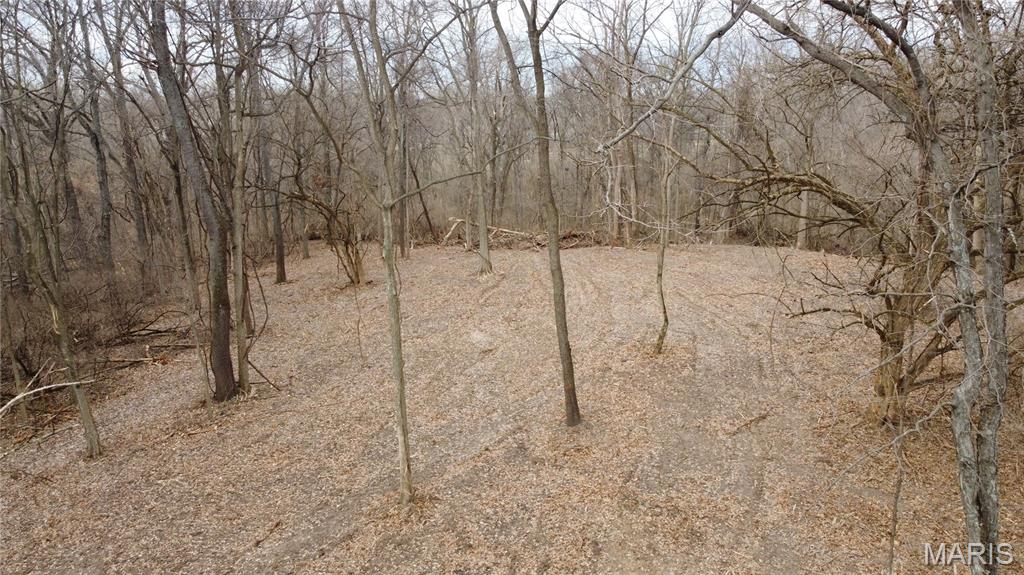 Xxx Lower Marine Road St. Jacob, IL 62281 - Photo 17 of 21