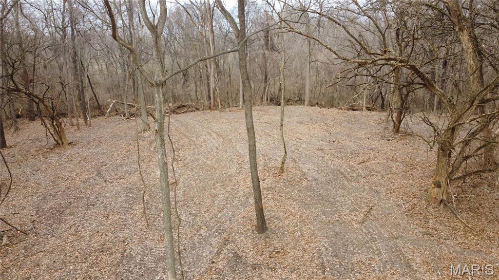 Xxx Lower Marine Road St. Jacob, IL 62281 - Photo 18 of 21