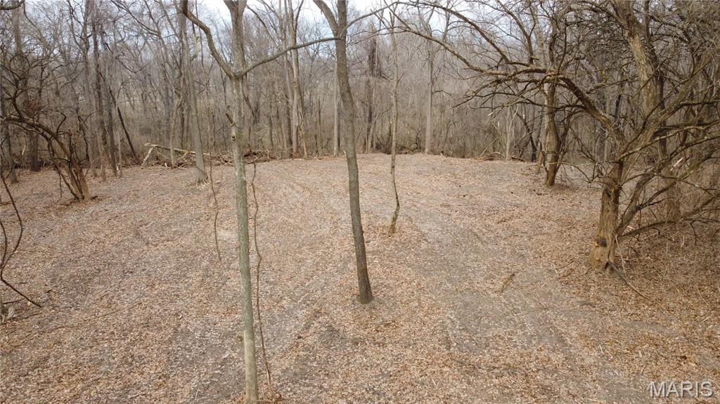 Xxx Lower Marine Road St. Jacob, IL 62281 - Photo 20 of 21