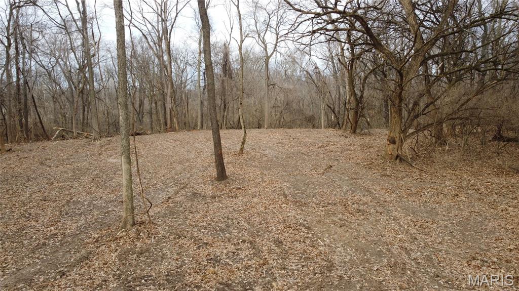 Xxx Lower Marine Road St. Jacob, IL 62281 - Photo 21 of 21