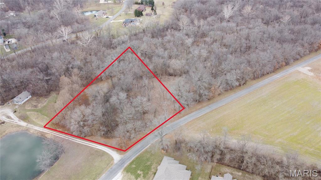 Xxx Lower Marine Road St. Jacob, IL 62281 - Photo 3 of 21