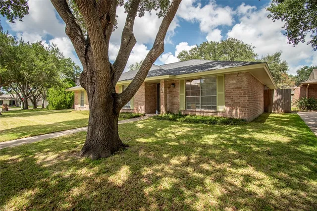 a large tree in middle of the garden