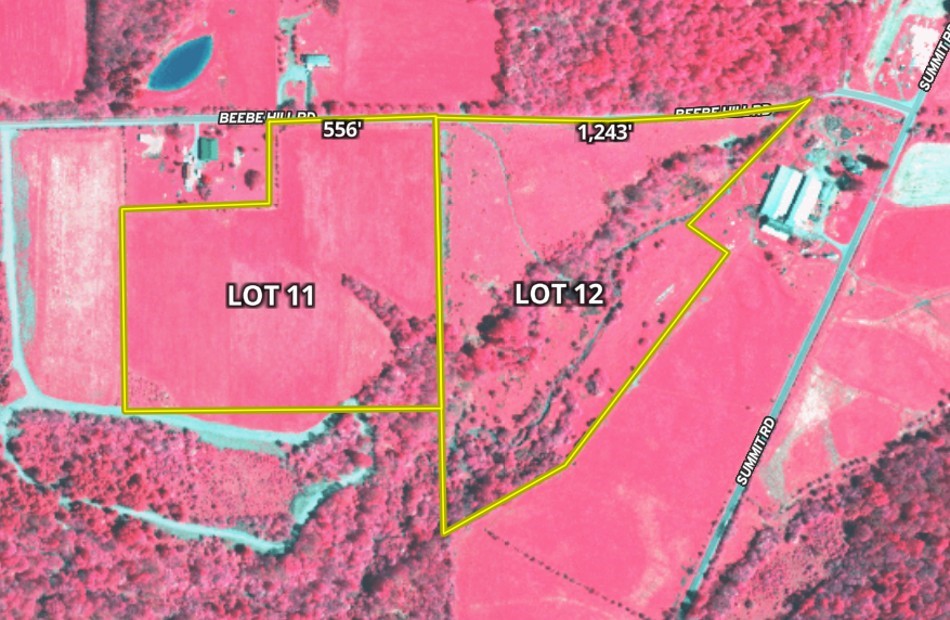 Lot 12 Beebe Hill Road Cuba, NY 14727 - Photo 11 of 13