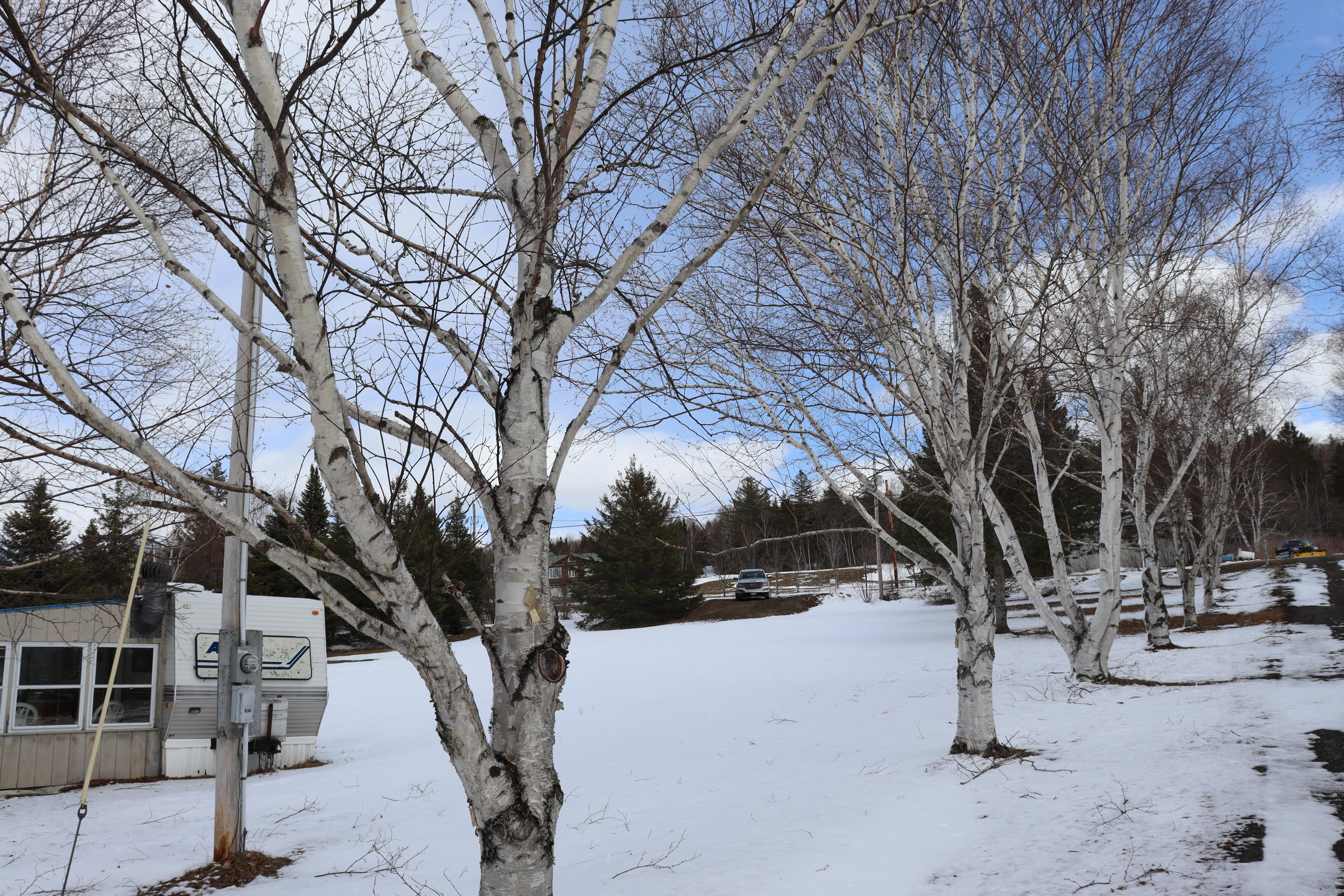 1391 Sly Brook Road Eagle Lake, ME 04739 - Photo 20 of 24 South Boundary