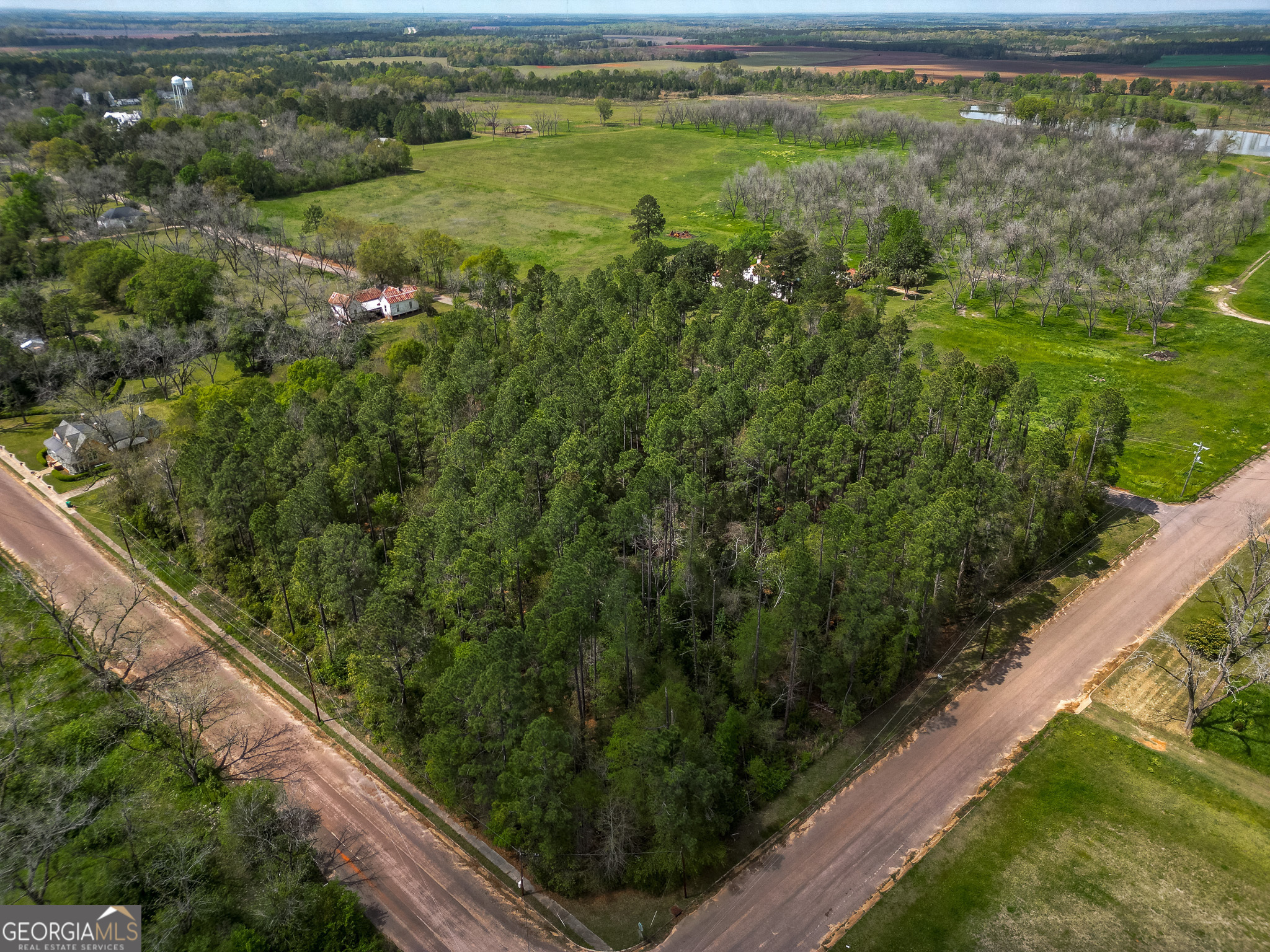 a view of a garden from a balcony