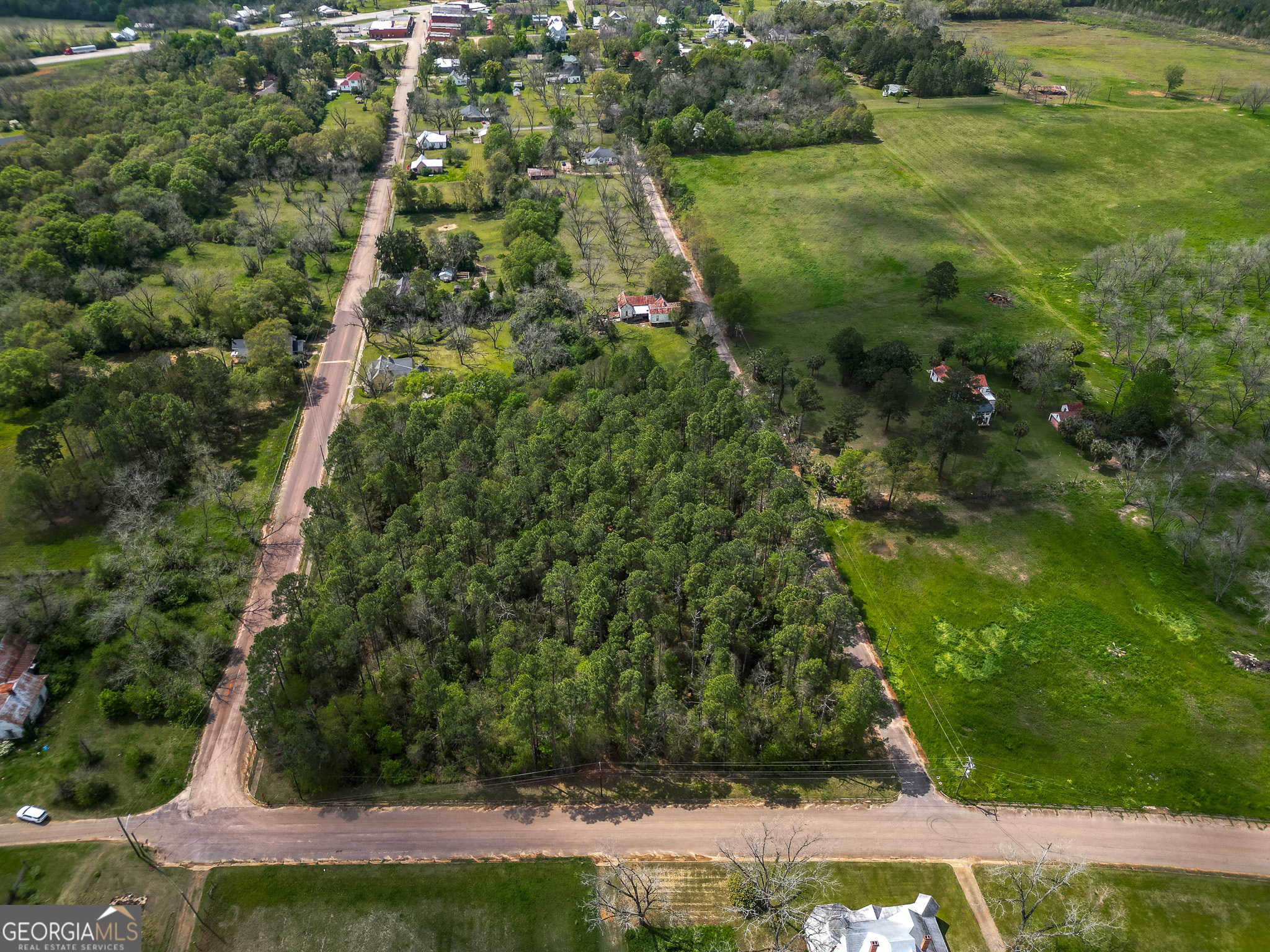 109 Main Street Parrott, GA 39877 - Photo 5 of 8 a view of a yard with plants