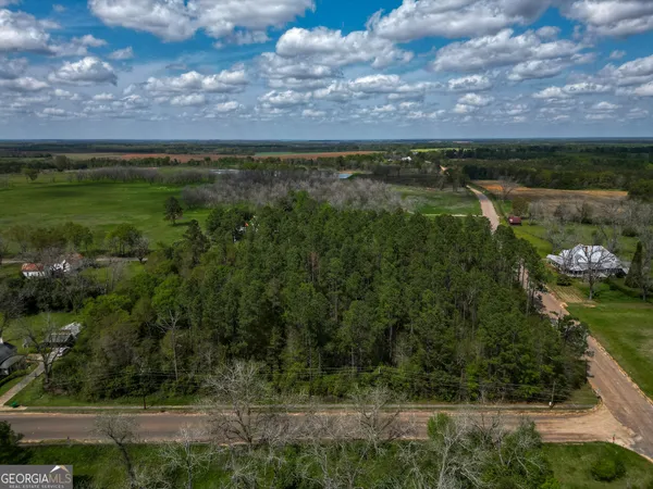 $45,000 | 109 Main Street, Parrott, GA 39877