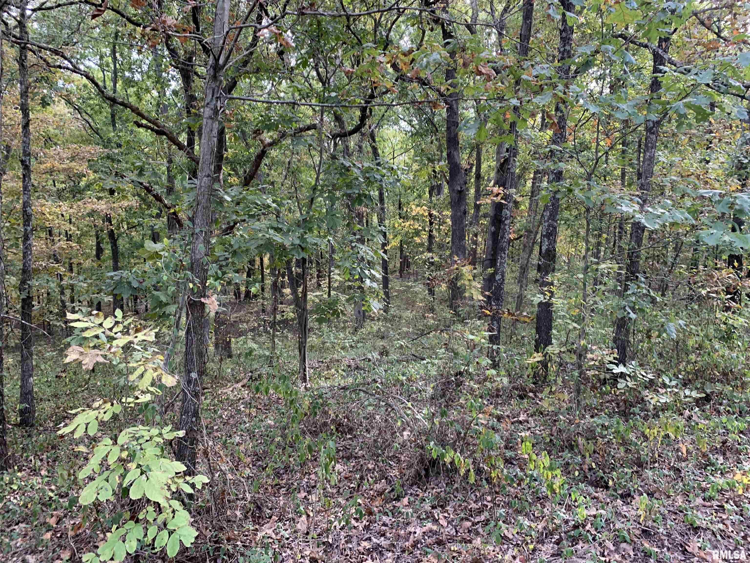 0 East Freeman Road Waltonville, IL 62894 - Photo 1 of 1