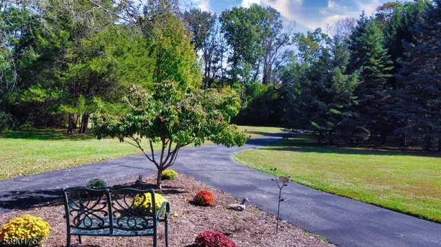 a view of a backyard with plants and large trees