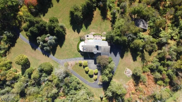 a view of a garden with plants
