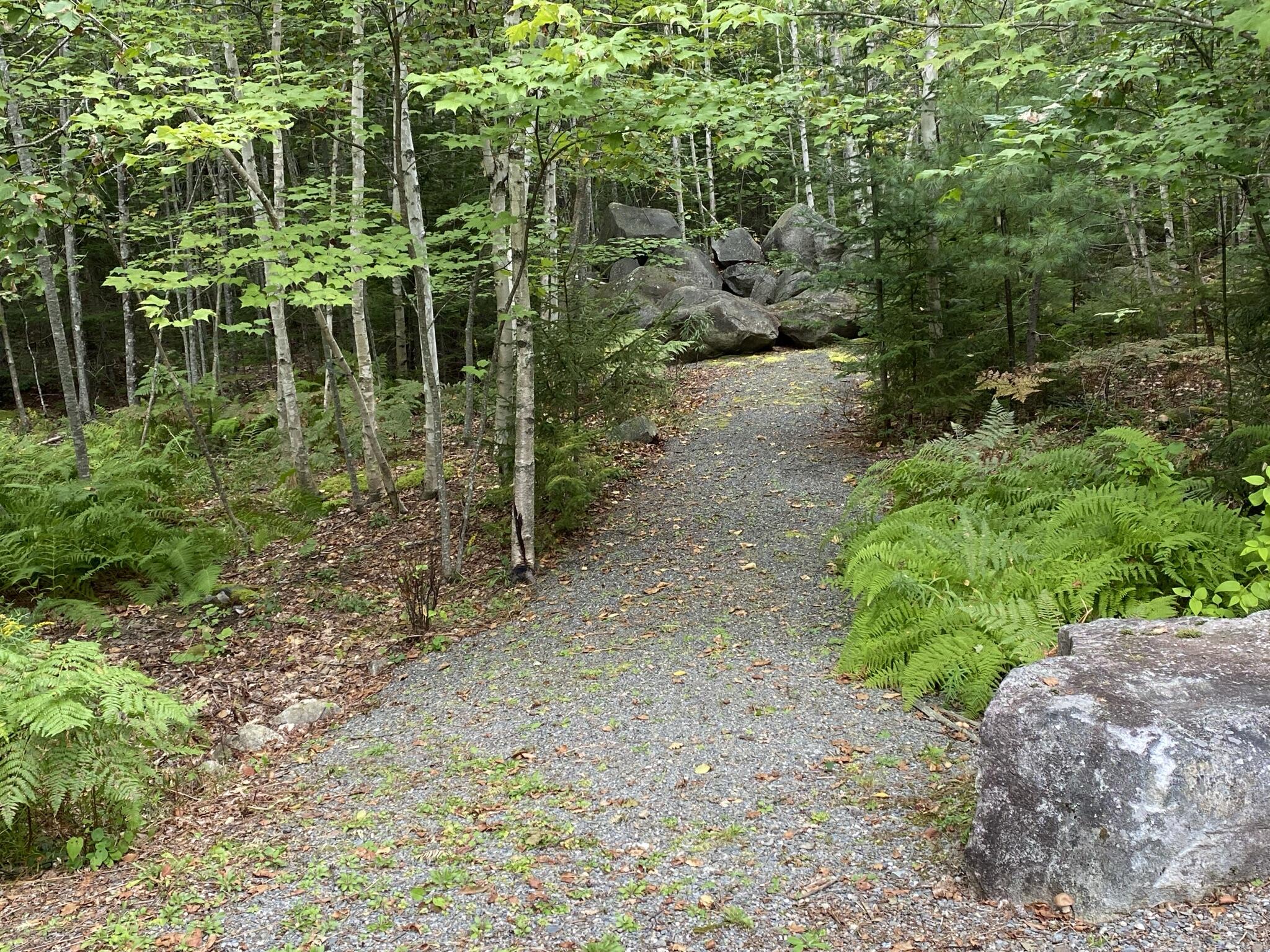 910 Castine Road Orland, ME 04472 - Photo 43 of 47 Orland-henge