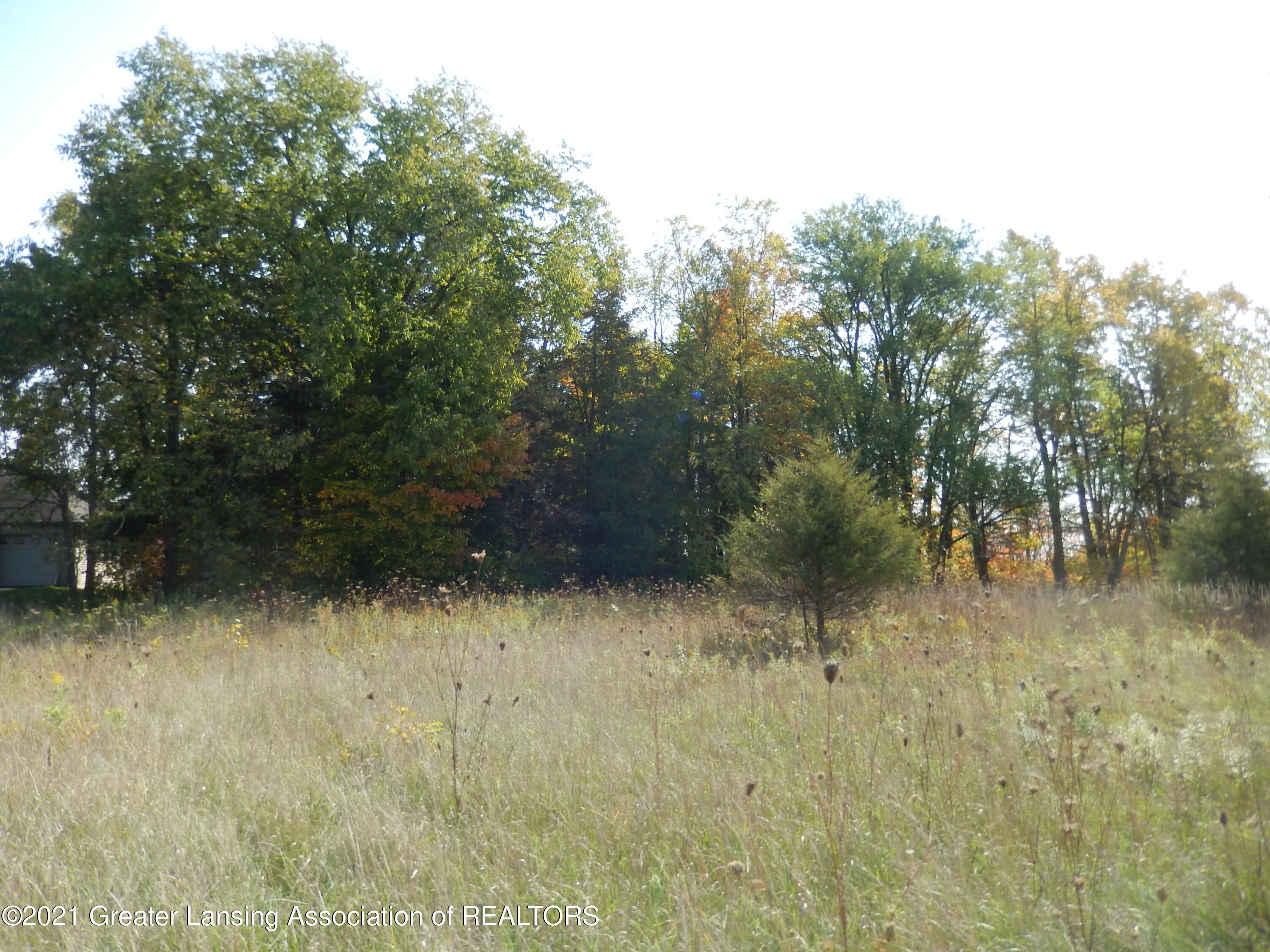 7248 Cedar Ridge Drive Portland, MI 48875 - Photo 12 of 17 Lot 12