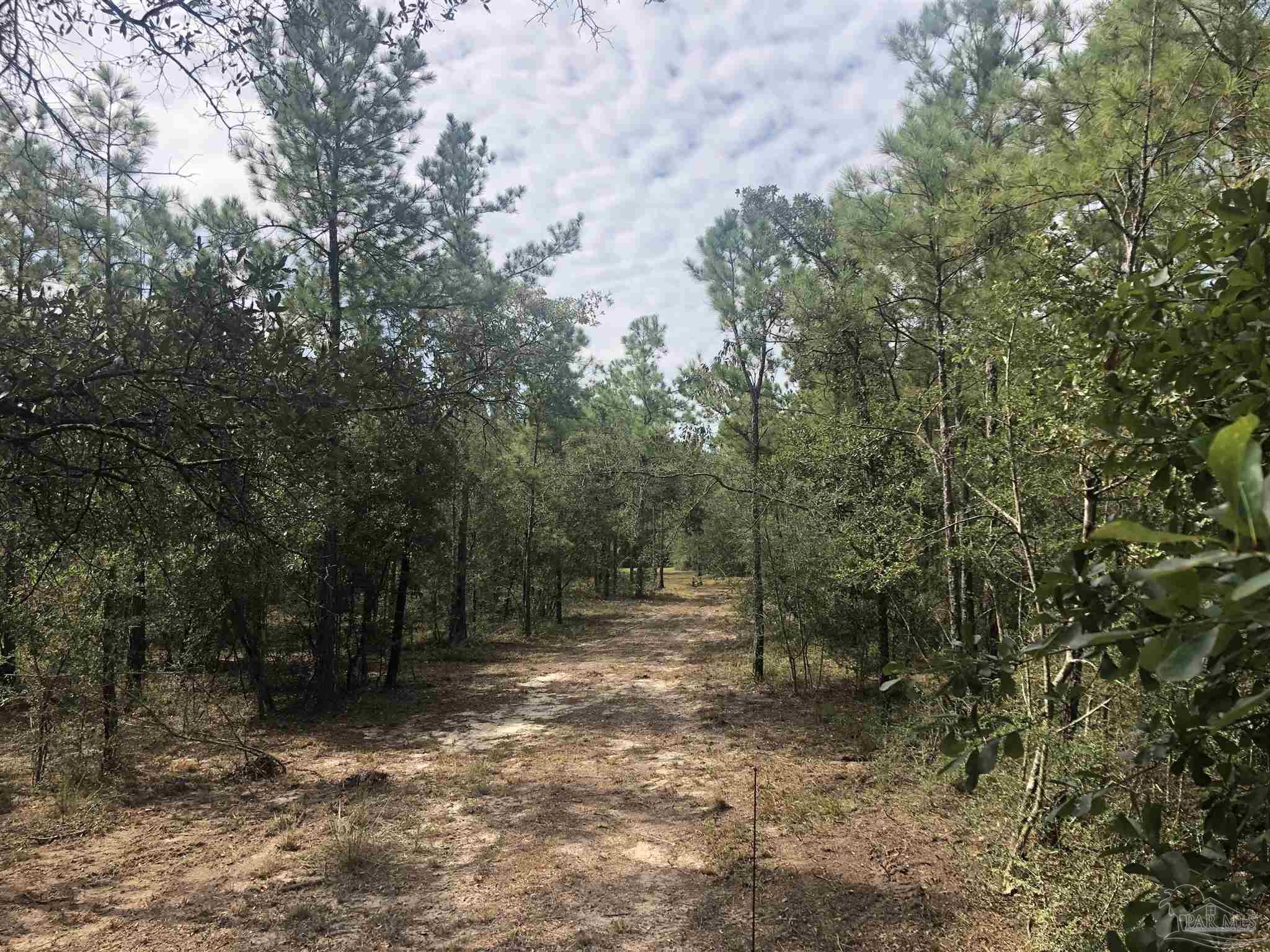 0 Molino Bridge Road Pace, FL 32571 - Photo 11 of 35 a view of outdoor space and yard