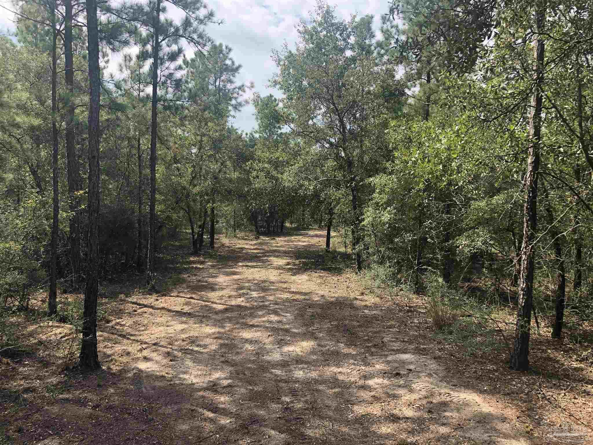 0 Molino Bridge Road Pace, FL 32571 - Photo 13 of 35 a view of outdoor space and yard