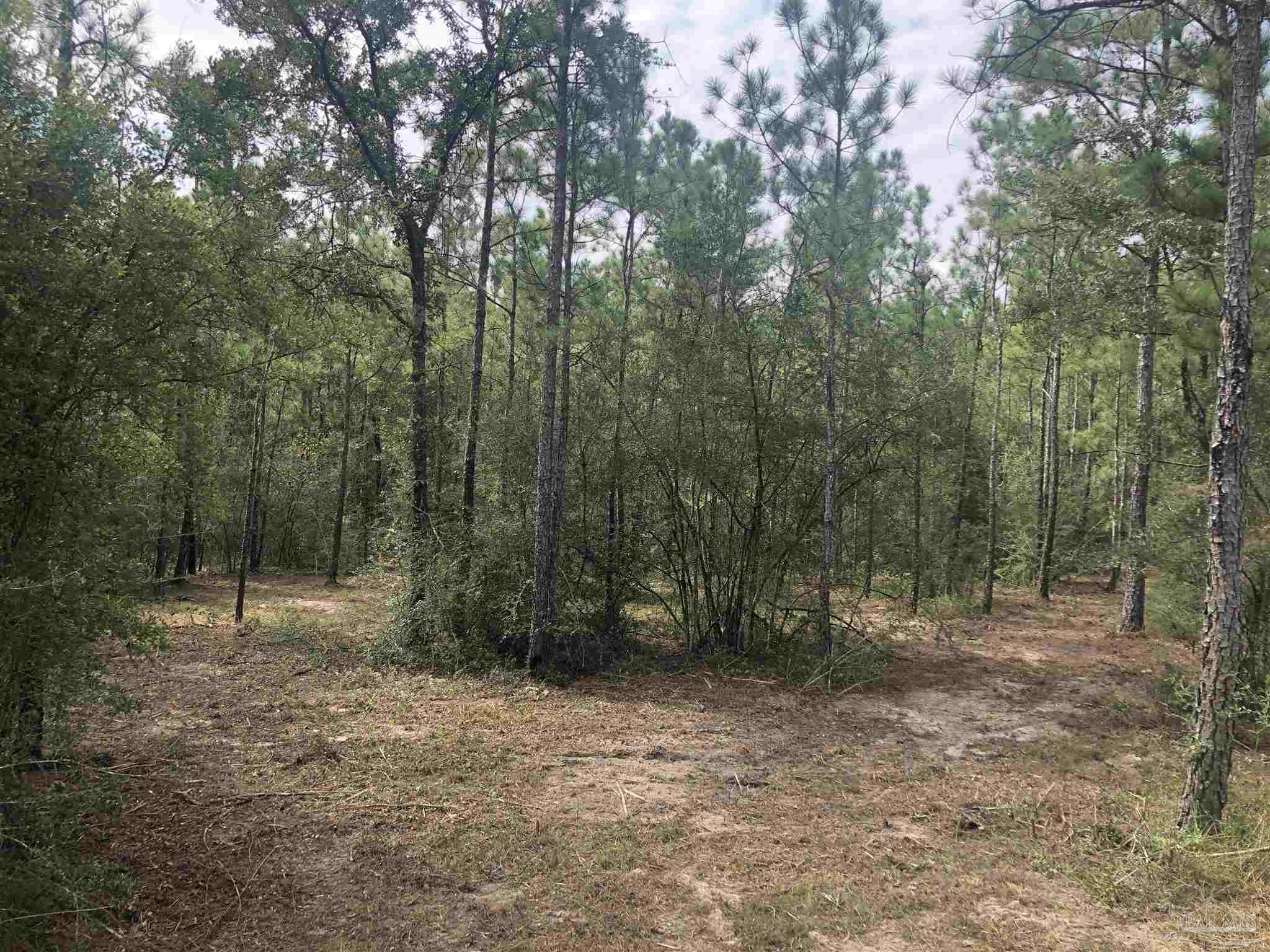 0 Molino Bridge Road Pace, FL 32571 - Photo 19 of 35 a view of outdoor space and trees