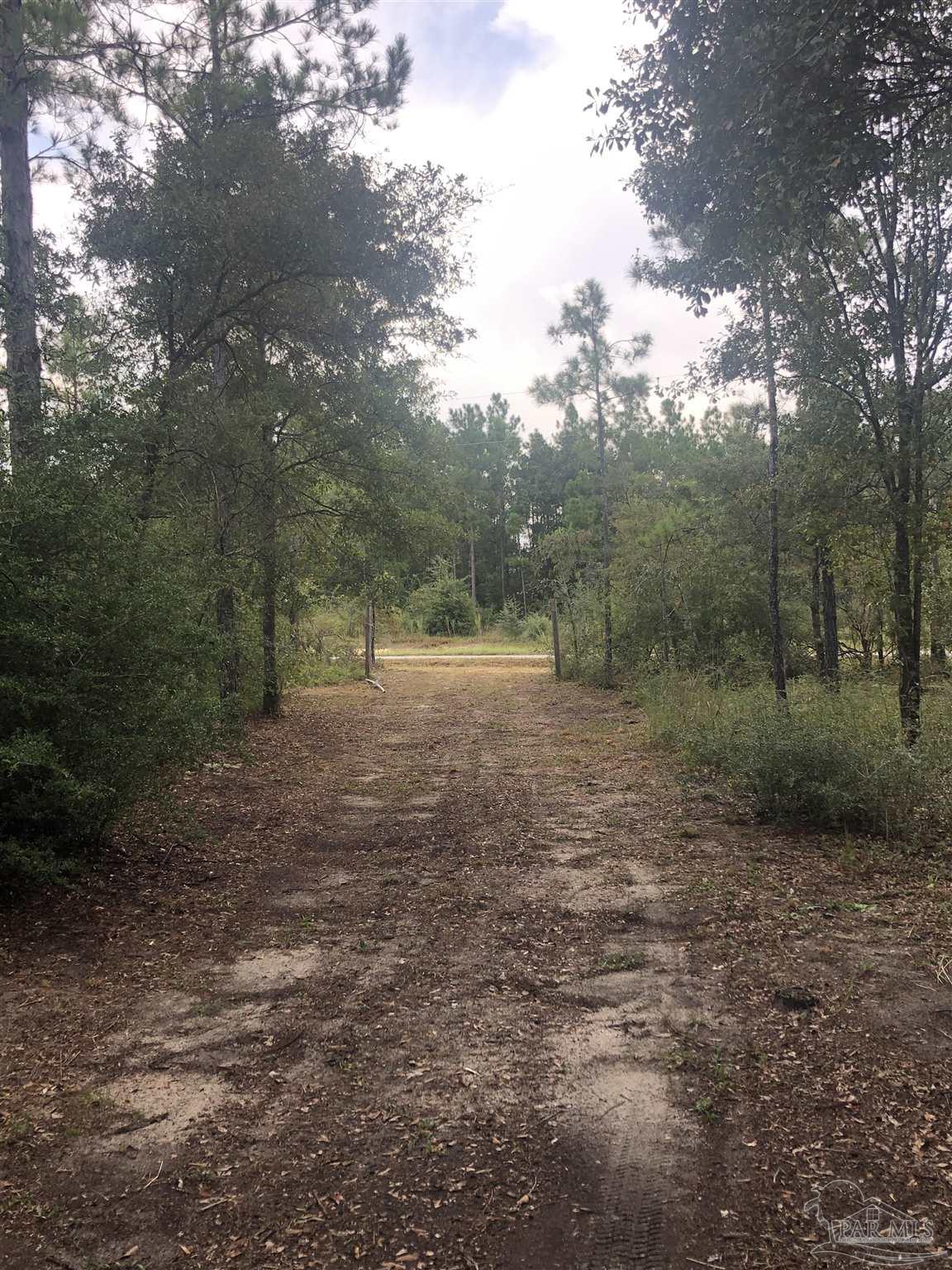 0 Molino Bridge Road Pace, FL 32571 - Photo 29 of 35 a view of outdoor space with green space