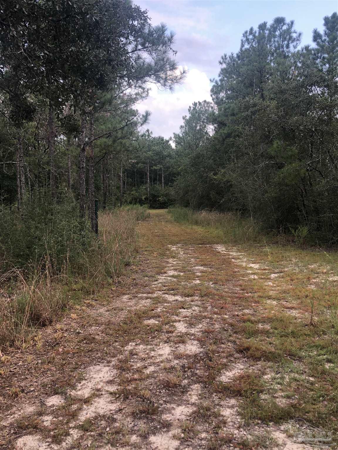 0 Molino Bridge Road Pace, FL 32571 - Photo 3 of 35 a view of a lake view