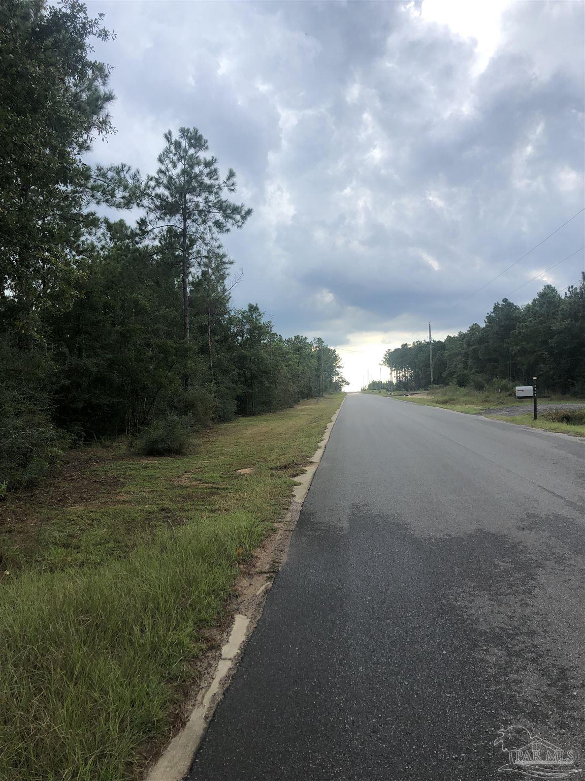 0 Molino Bridge Road Pace, FL 32571 - Photo 33 of 35 a view of a road with a yard