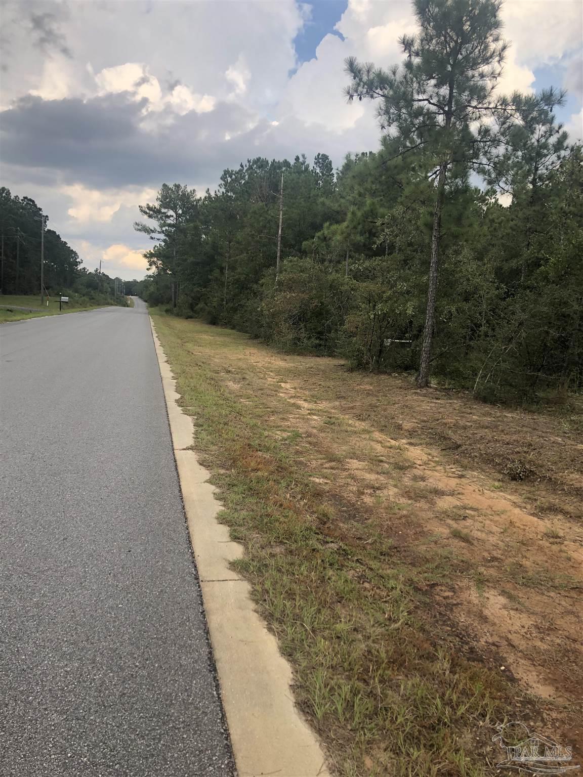 0 Molino Bridge Road Pace, FL 32571 - Photo 34 of 35 a view of a road with a yard