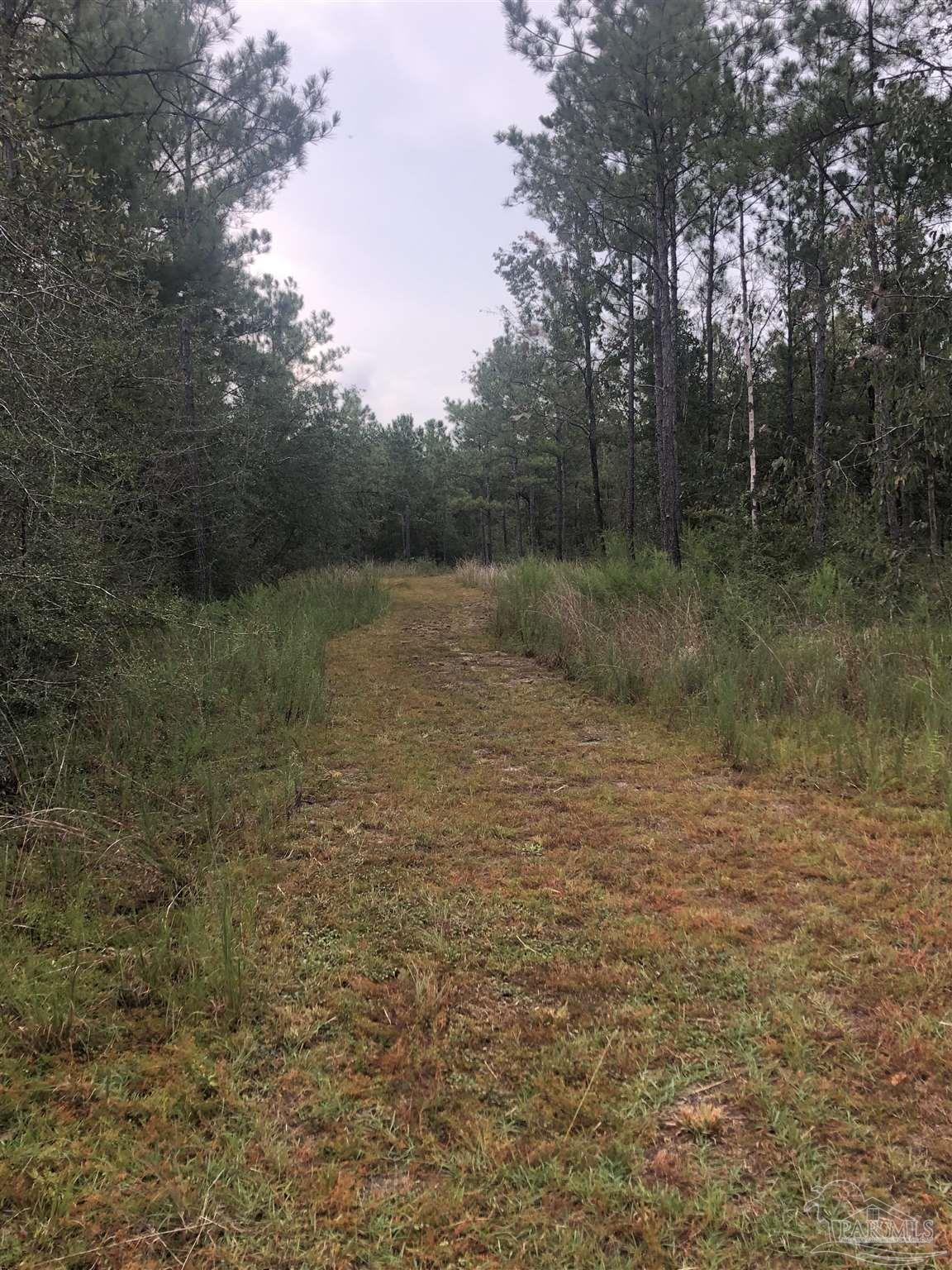 0 Molino Bridge Road Pace, FL 32571 - Photo 4 of 35 a view of a lake view
