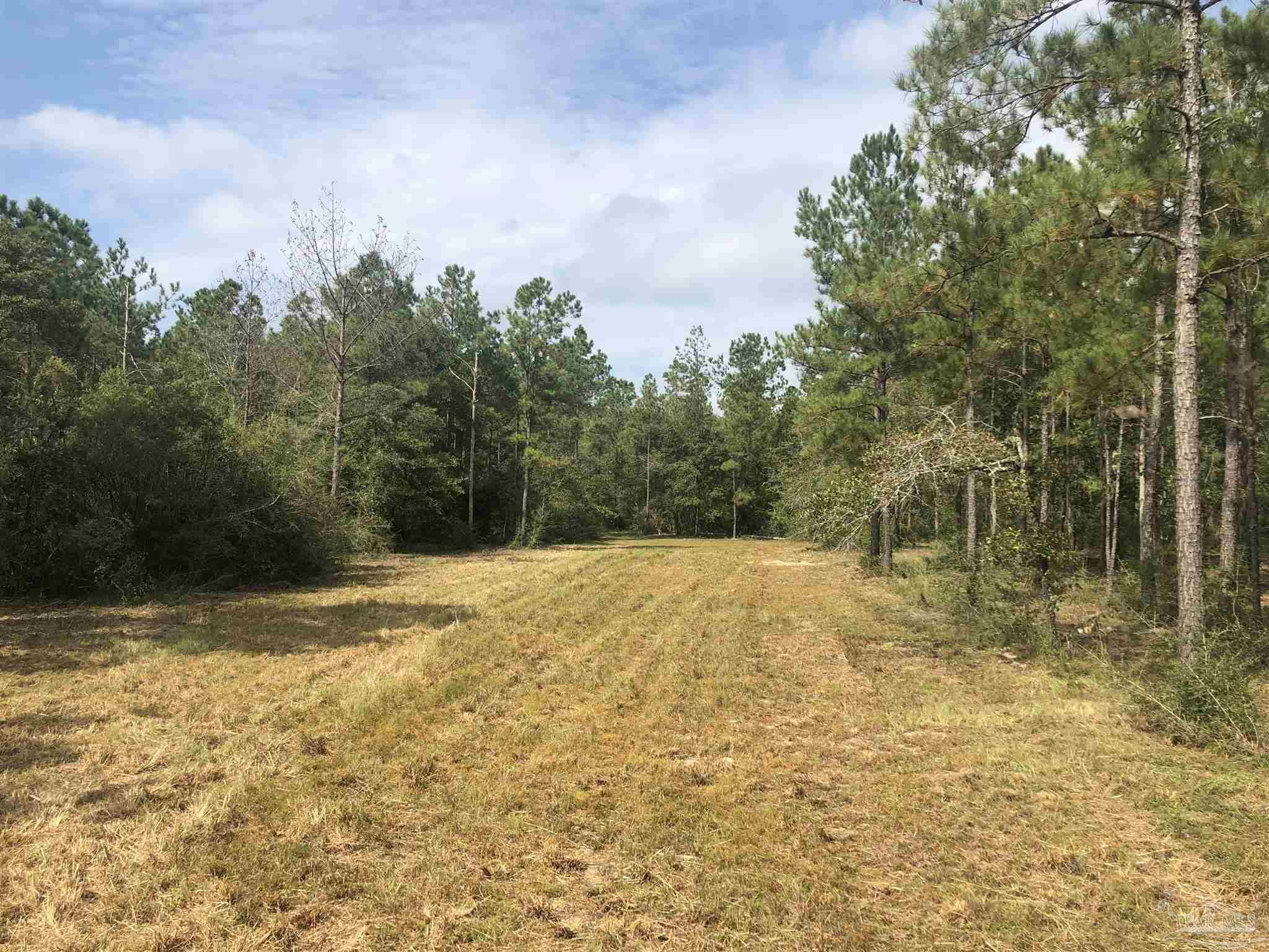 0 Molino Bridge Road Pace, FL 32571 - Photo 8 of 35 a view of a yard with an trees