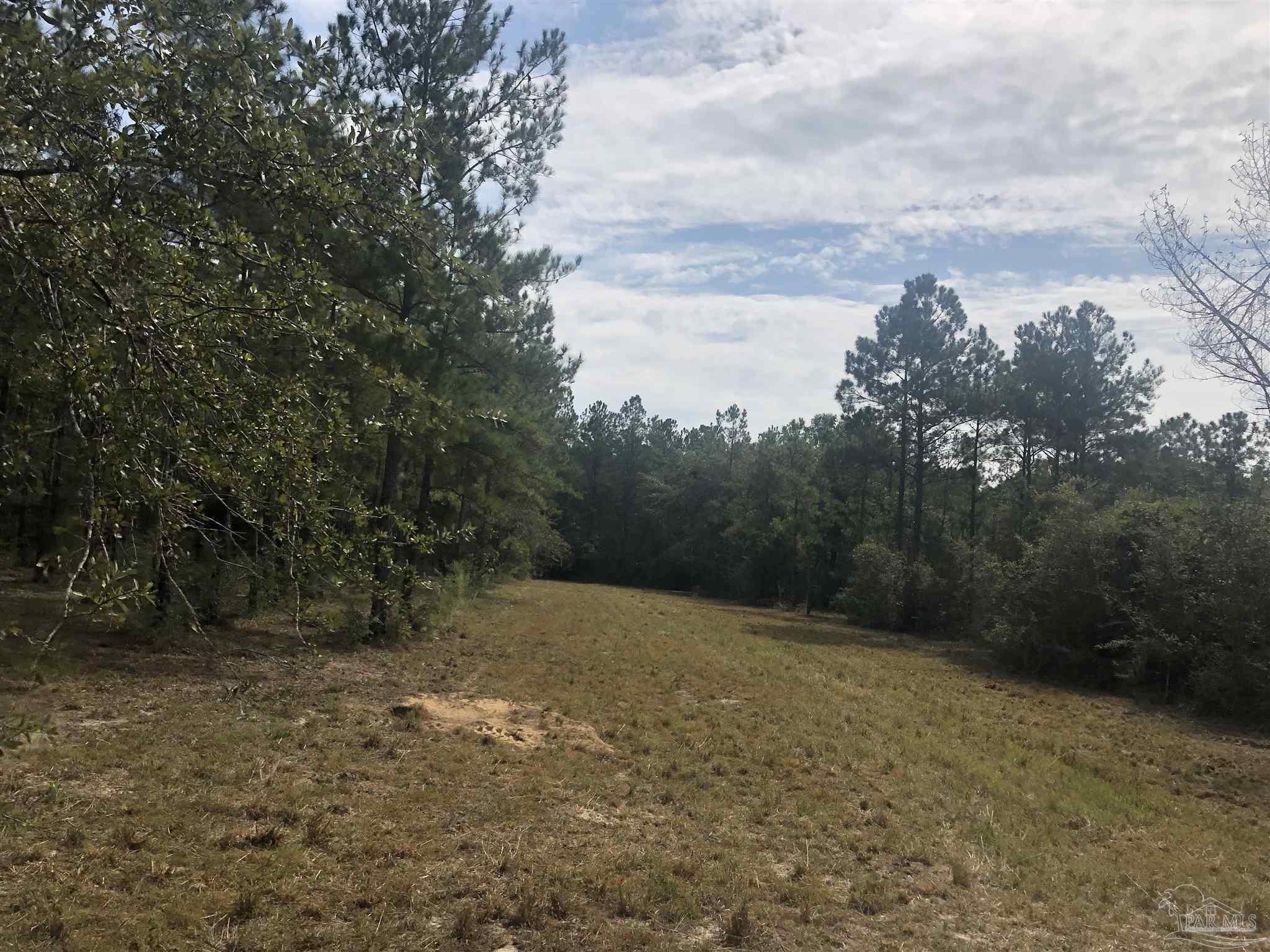 0 Molino Bridge Road Pace, FL 32571 - Photo 9 of 35 a view of outdoor space