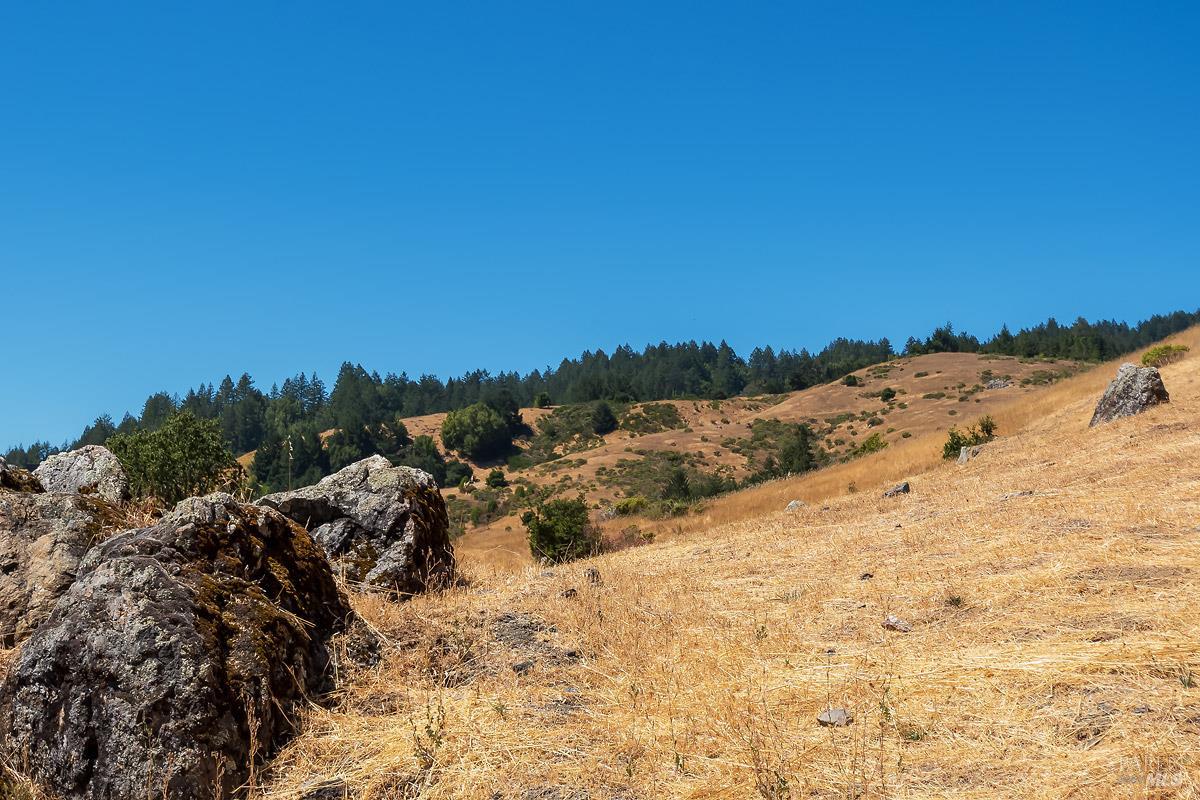 0 West Nicasio Road Forest Knolls, CA 94933 - Photo 18 of 36
