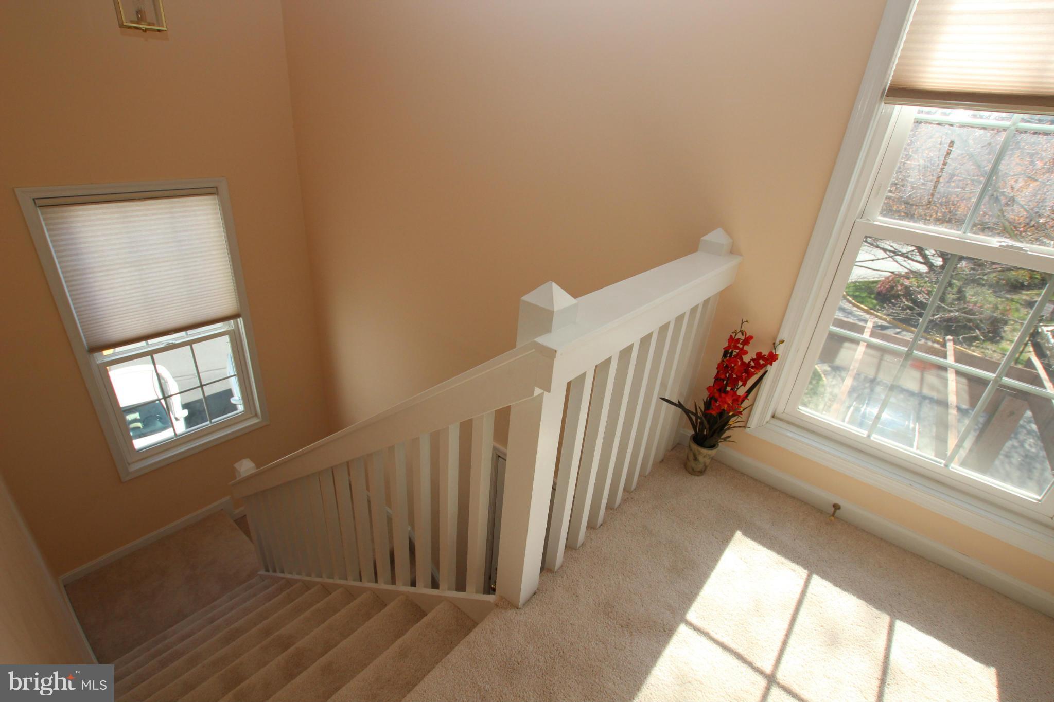 10174 Oakton Terrace Road, Unit 10174 Oakton, VA 22124 - Photo 3 of 30 2 story foyer with two windows