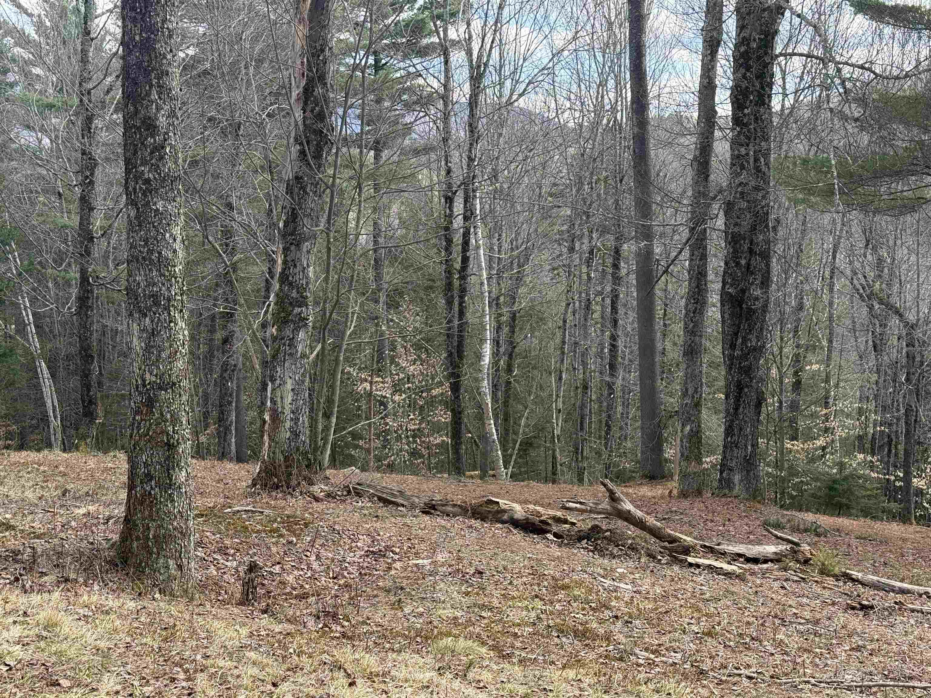 0 Brook Road Warren, VT 05674 - Photo 6 of 25
