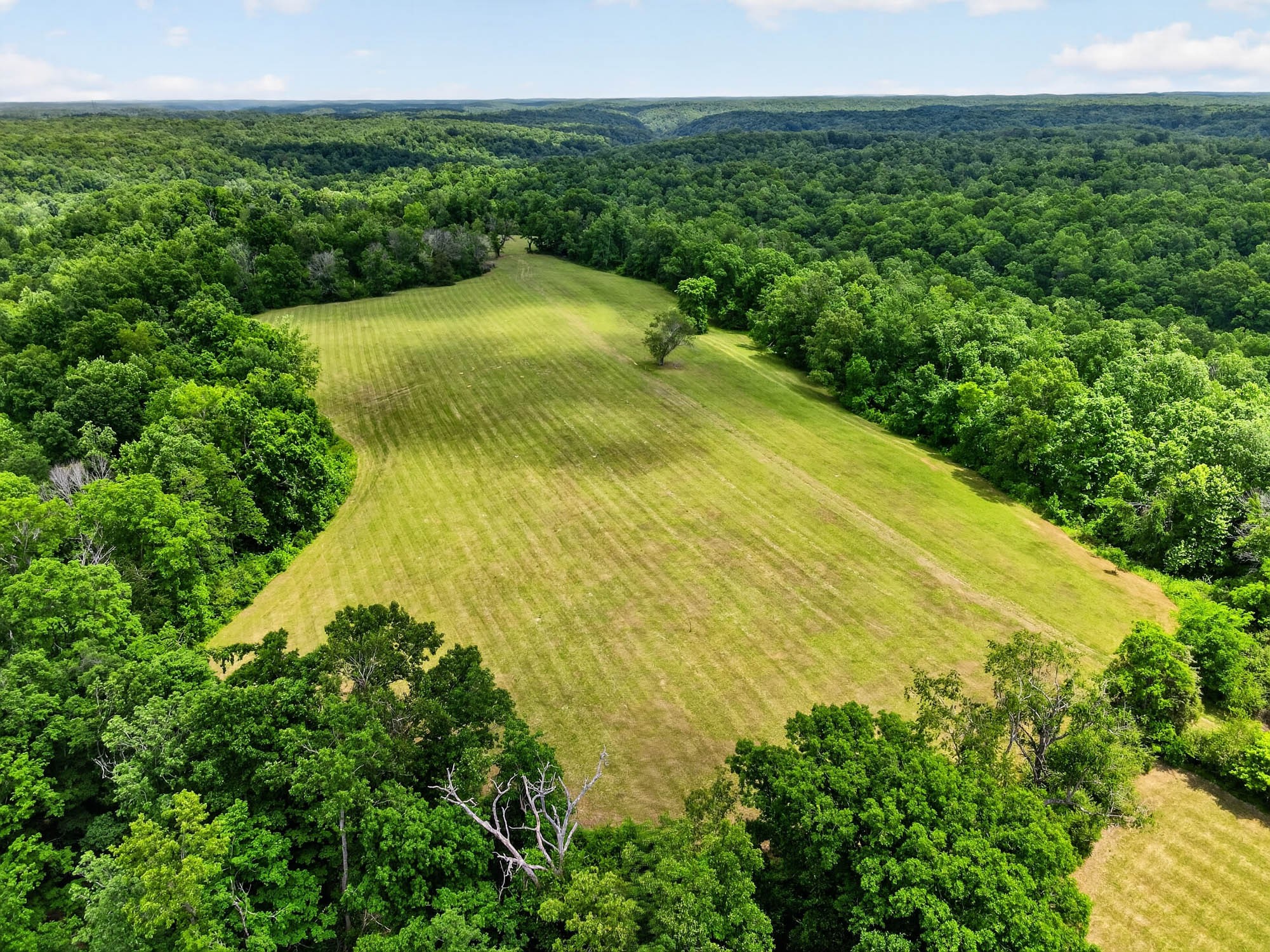 7393 South Harpeth Road Franklin, TN 37064 - Photo 9 of 27