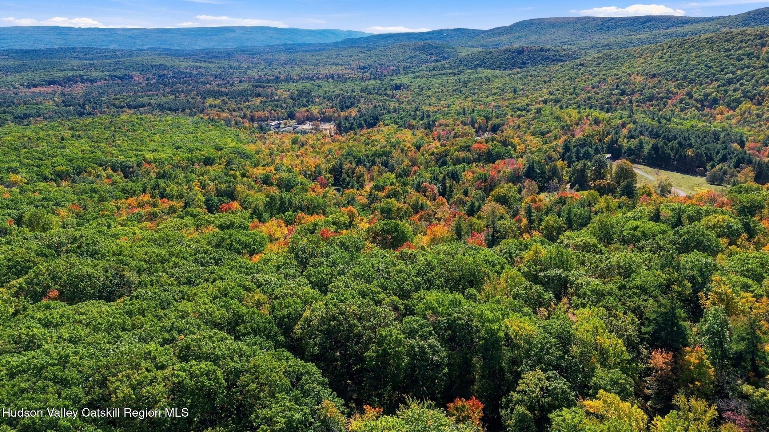 29 Tilly Road Kerhonkson, NY 12446 - Photo 19 of 19 16_dji_0446