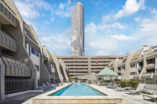 a view of a garden with a tree