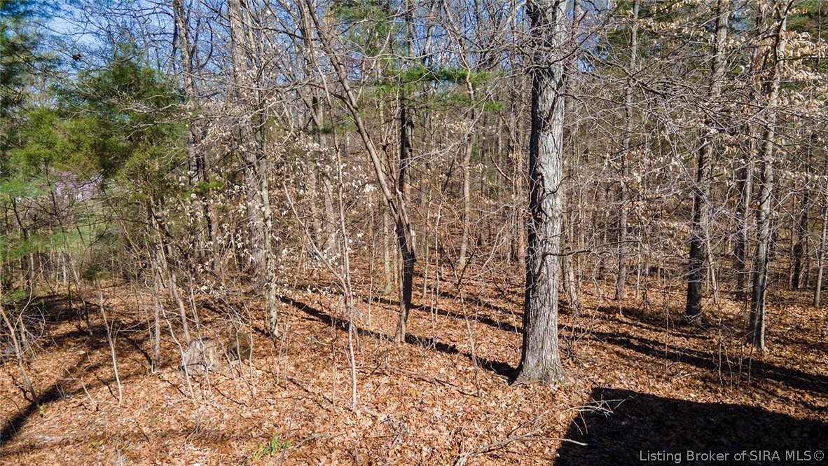 1357 West Palmyra Lake Road Palmyra, IN 47164 - Photo 48 of 57