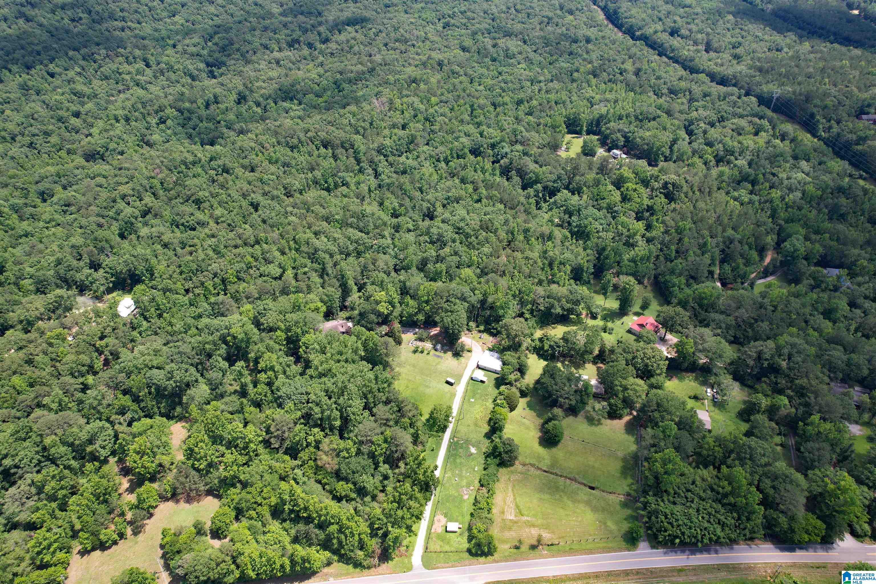 65 Winding Stair Trail Leeds, AL 35094 - Photo 50 of 54