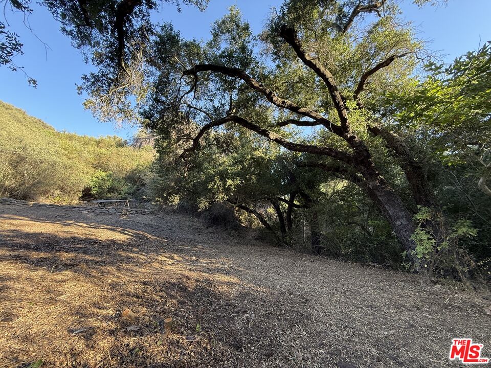 0 Red Rock Road Topanga, CA 90290 - Photo 8 of 53 a view of dirt yard with a large tree