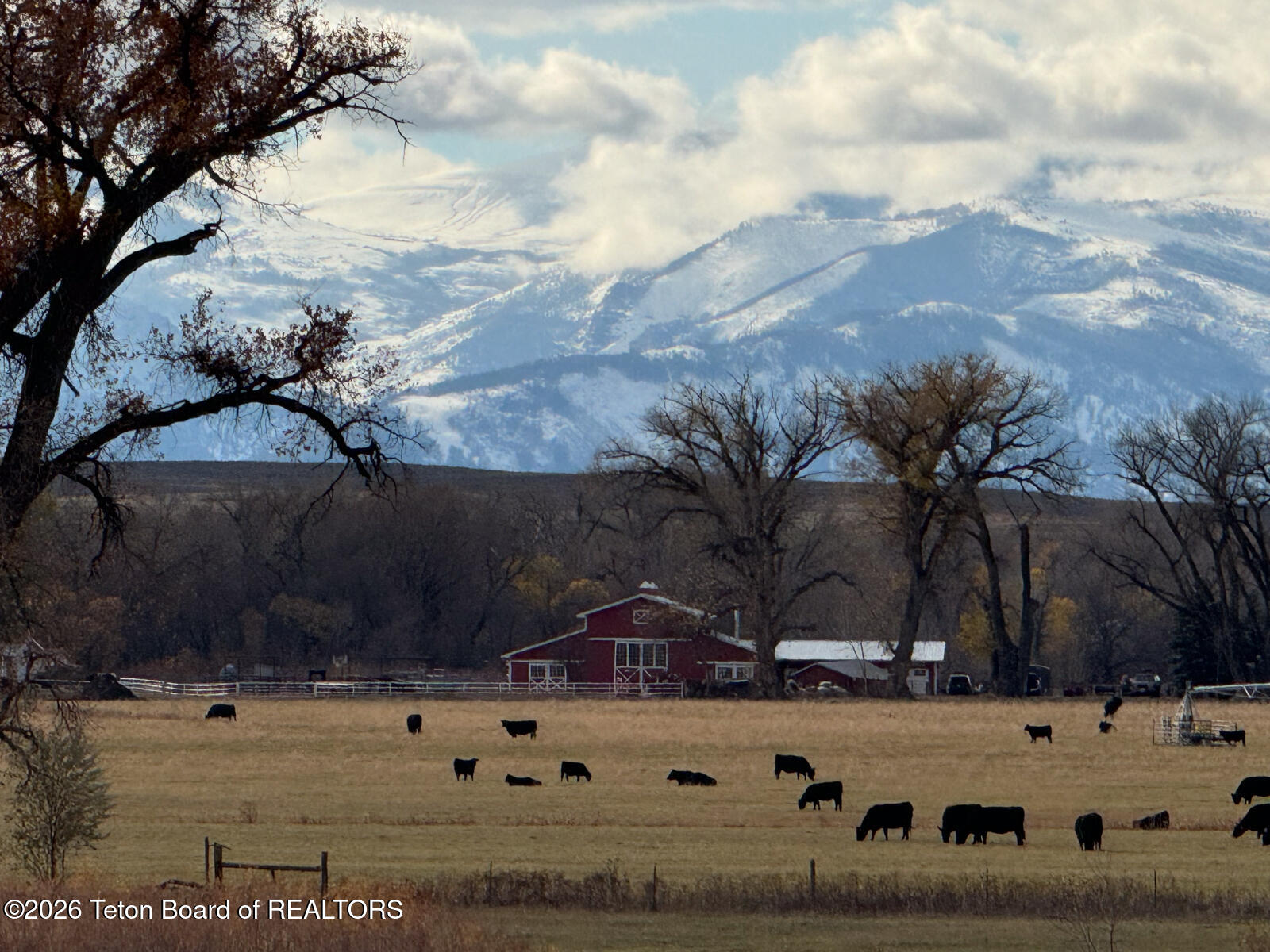 1720 State Highway Ranchester, WY 82839 - Photo 37 of 61 Soaring-Eagle-Ranch-Ranchester-Wyoming (