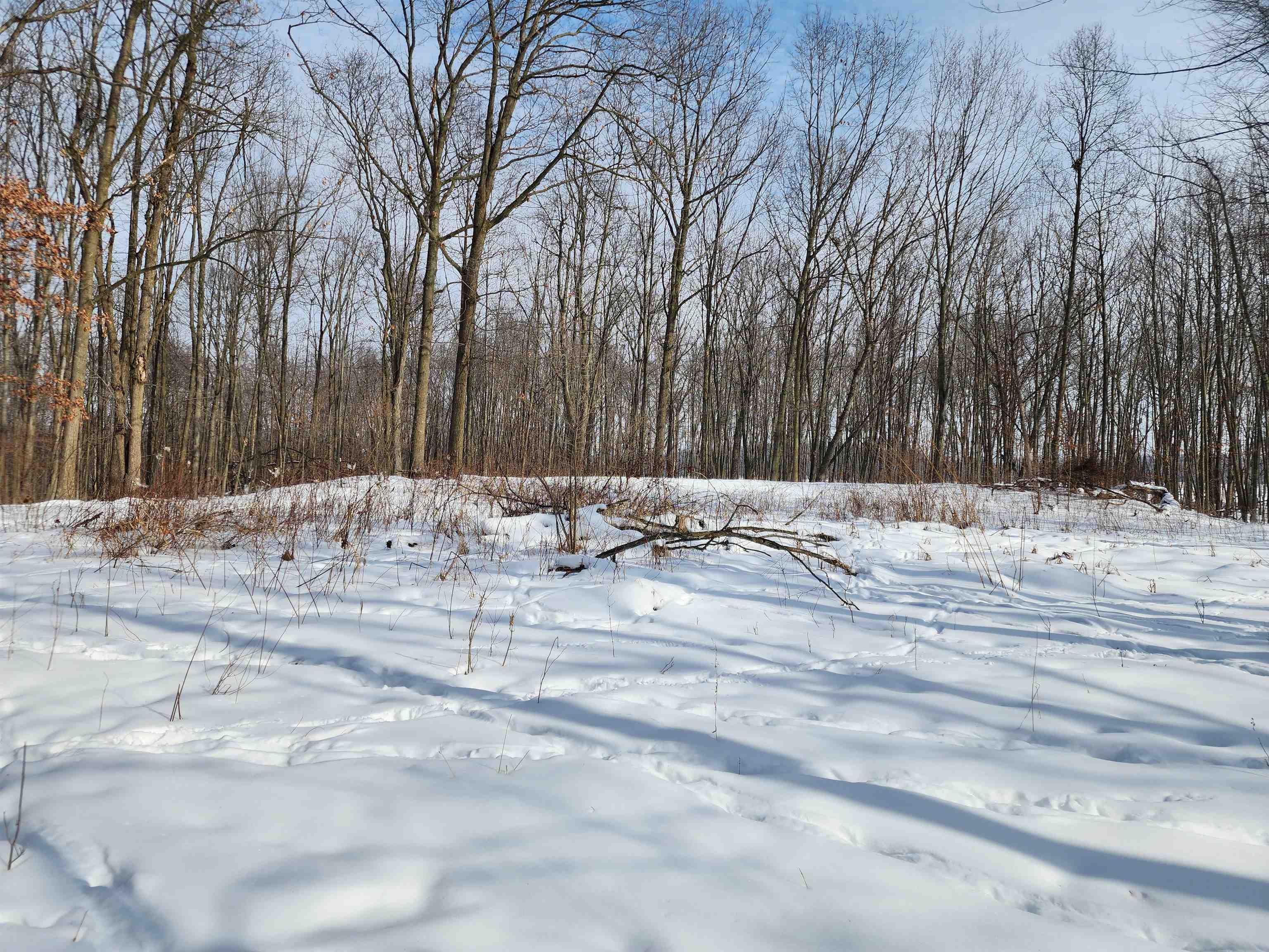 33-acres South Peoples Road Fenwick, MI 48834 - Photo 11 of 20