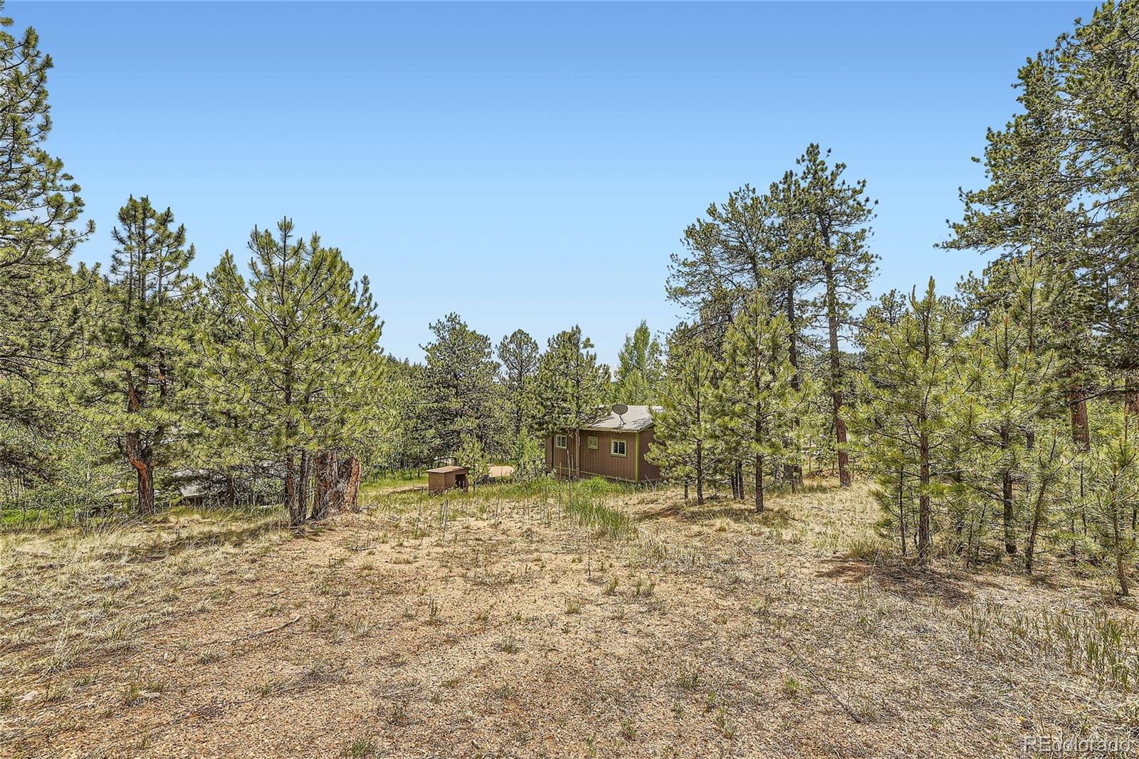 539 Neal Road Bailey, CO 80421 - Photo 22 of 26 a view of a yard with trees in the background